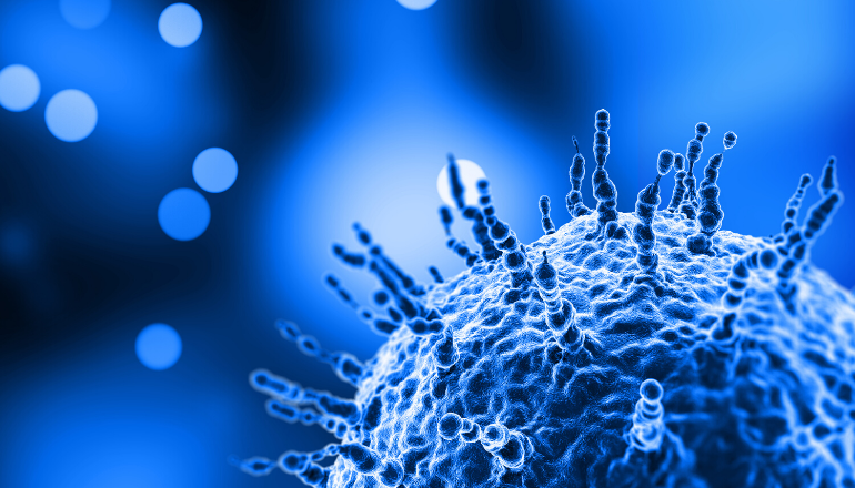 FORCE MAJEURE IN THE TIMES OF COVID -19